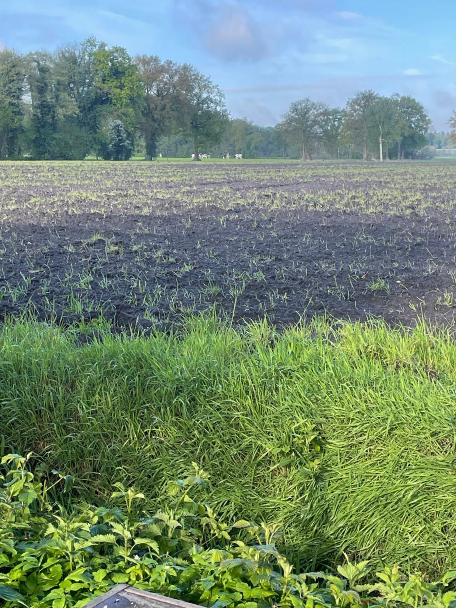 De Rode Zonnehoed Scherpenzeel  Exteriör bild